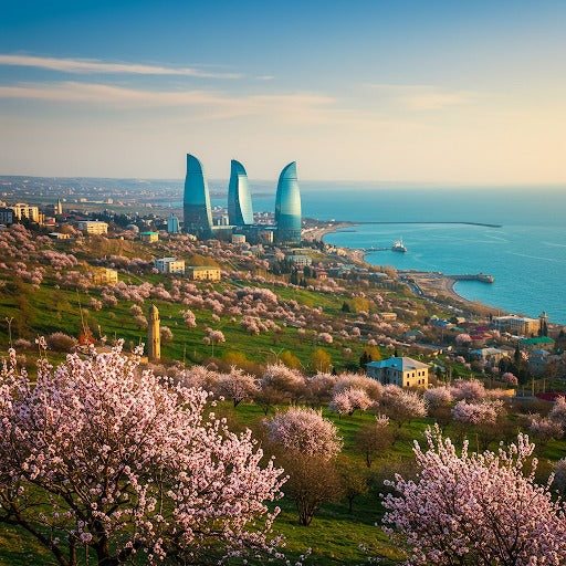 Azerbaijan 1 GB 14 Days